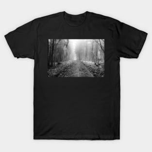 Walk through the woods on a foggy morning T-Shirt